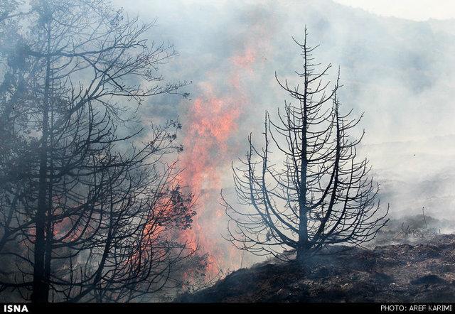 مهار آتش سوزی جنگل های بلوط الوار گرمسیری اندیمشک