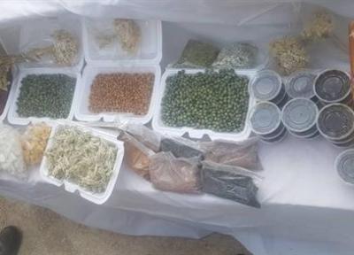 برگزاری جشنواره غذا و نمایشگاه صنایع دستی در روستای لاورشیخ بستک