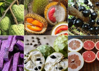 تولید میوه های عجیبی، چون قلب و ستاره در ژاپن