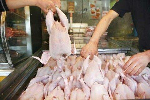 هر کیلو مرغ در خرده فروشی ها 12 هزار و 500 تومان، ثبات قیمت هر کیلو مرغ در خرده فروشی ها 12 هزار و 500 تومان، ثبات قیمت نهاده های دامی در بازار ادامه دار شد