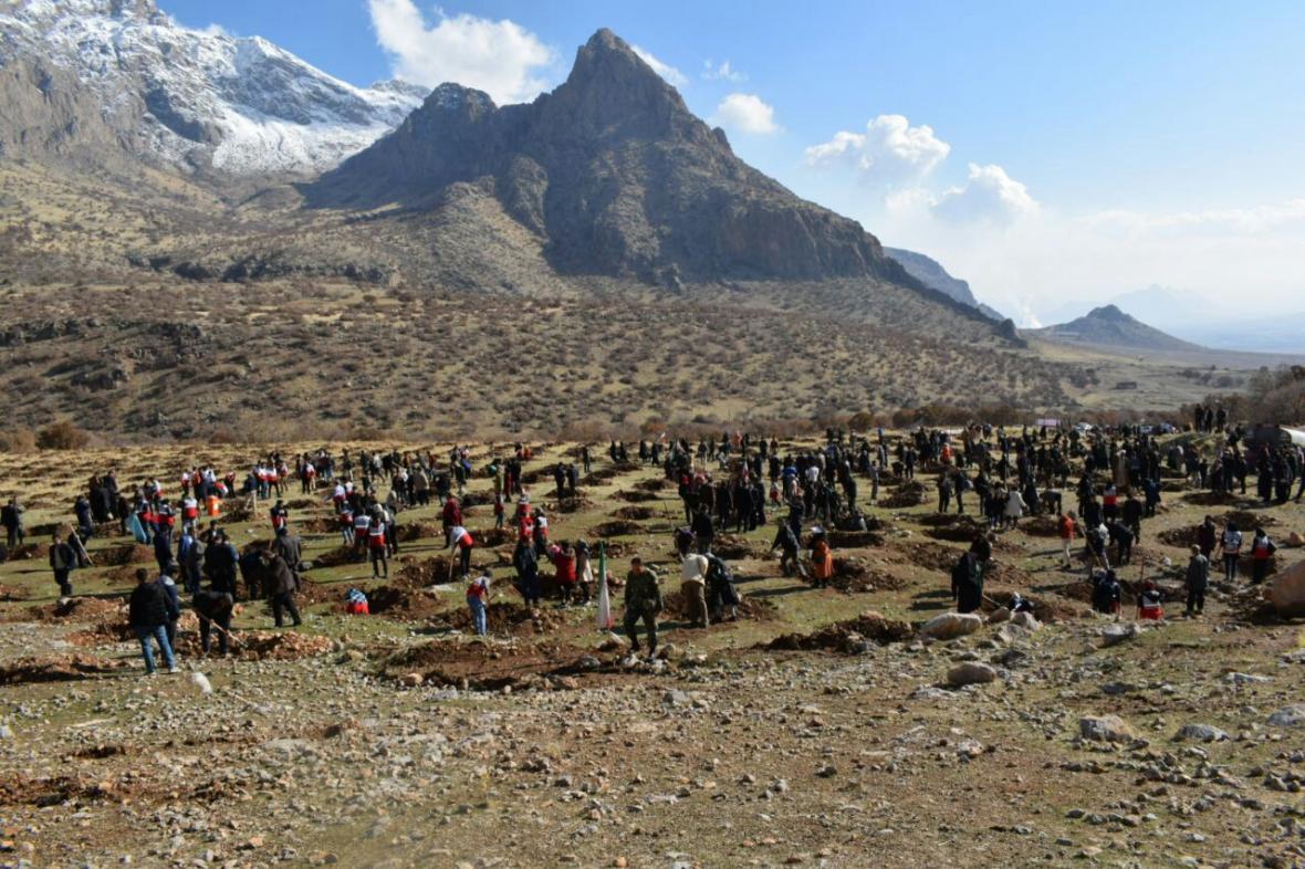 حضور پرشور کرمانشاهیان در روز نهالکاری