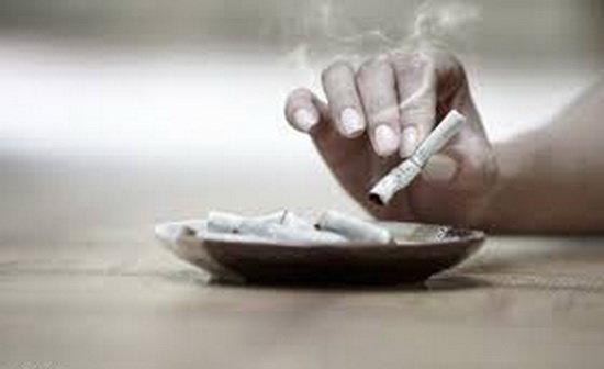 یک هفتم موارد مرگ در آلمان به خاطر سیگار است یک هفتم موارد مرگ در آلمان به خاطر سیگار است