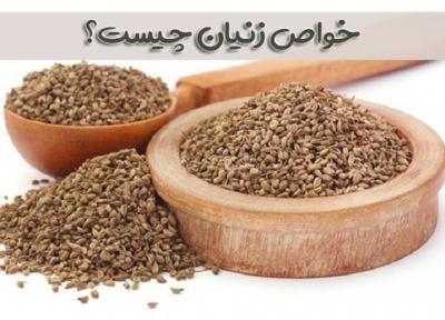خواص زنیان چیست؟ (آشنایی با فواید و خواص گیاه زنیان)