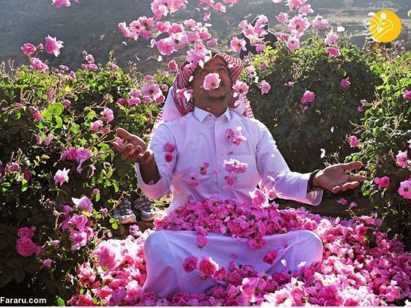 (تصاویر) شهر گل عربستان کجاست؟ (تصاویر) شهر گل عربستان کجاست؟