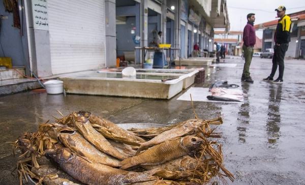 (تصاویر) پایان فصل صید