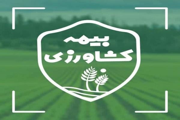 کشاورزان کهگیلویه و بویراحمد زیر چتر بیمه بروند