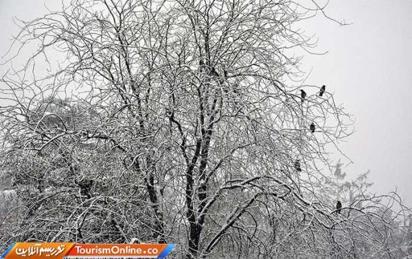 سامانه بارشی جدید سه شنبه وارد کشور می شود سامانه بارشی تازه سه شنبه وارد کشور می گردد