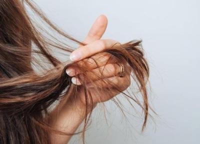 علت خرد شدن مو چیست و چطور می توان آن را درمان کرد؟